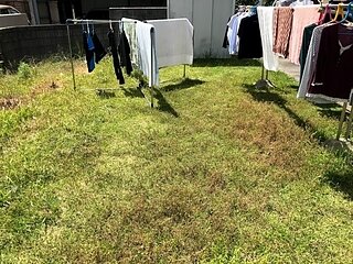 草の生えた庭 何とか出来ませんか！のイメージ